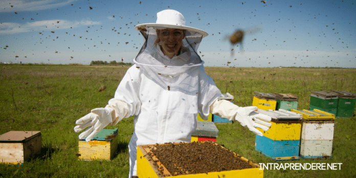 Apicoltura diventare apicoltore