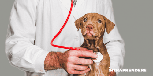 come diventare veterinario