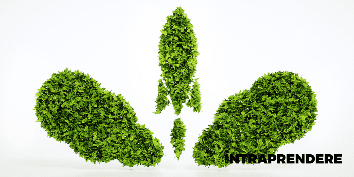 Start Up Green: 7 Idee Per Avviare un Business Sostenibile  --- (Fonte immagine: https://intraprendere.net/wp-content/uploads/2022/05/start-up-green_1.png)